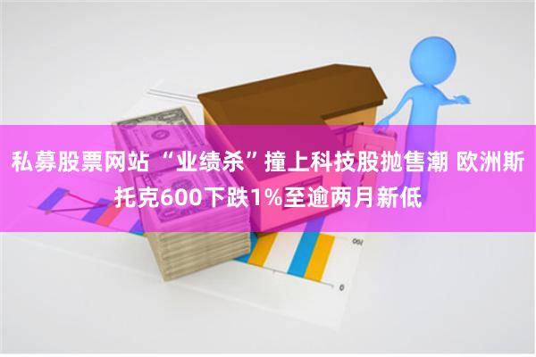 私募股票网站 “业绩杀”撞上科技股抛售潮 欧洲斯托克600下跌1%至逾两月新低