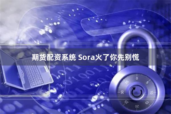 期货配资系统 Sora火了你先别慌